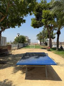 a blue ping pong table in a park with trees at Antique villa in Guardamar del Segura