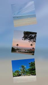 two pictures of a beach with a palm tree at Suítes Nina e Malu in Santa Cruz Cabrália