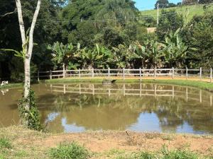 a pond of water with a fence and trees at Chacara el Angel in Socorro