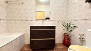 a bathroom with a sink and a mirror and a plant at Apartamento Sto Estevão in Zambujeira do Mar +2 photos