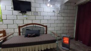 a bedroom with a bed with a tv on a brick wall at BelDaMar in Capilla del Monte