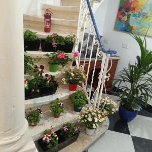 a group of potted plants sitting on stairs at Hypogeum SuiteStudio in Ħal Saflieni