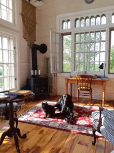 a dog laying on a rug in a living room at Longview Spectacular Forest Views on 88 Acres in Westport