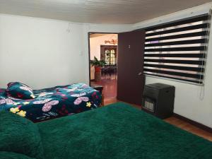 a bedroom with a bed and a television and a window at Hostal Fernanda in Santa Cruz +96 photos