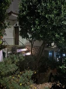 a tree in front of a house at night at Flamingo's Bay in Corroios