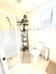 a bathroom with a toilet and a plant in it at Room in niagara falls Pluto studio in Niagara Falls