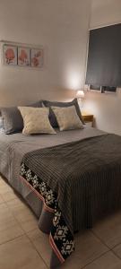 a bedroom with a large bed with pillows on it at Balcón de Lourdes in Santos Lugares