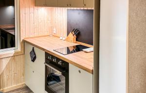 a kitchen with a counter and a black oven at Gorgeous Home In Ulfborg With Wifi in Ulfborg +5 photos