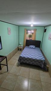 a bedroom with a bed in a room with blue walls at Hummingbird Morfus Lodge in Tilarán +10 photos