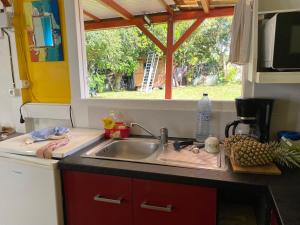 a kitchen counter with a sink and a window at Maison créole in Lamentin