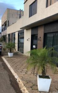 a palm tree sitting in front of a building at Hotel Serrano in Inácio Martins