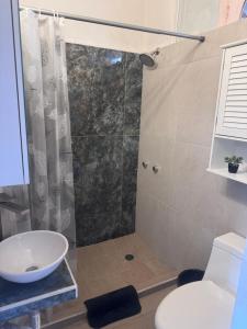 a bathroom with a shower with a sink and a toilet at Casa Dreamy in Zihuatanejo +30 photos