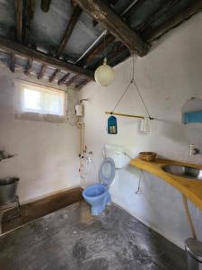 a bathroom with a blue toilet and a sink at Peshagar Guest House in Hampi