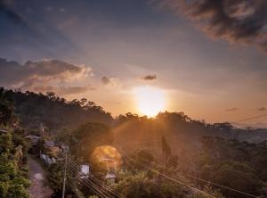 Gallery image of Blossom Rest in Kandy