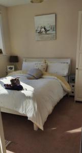 a cat laying on a bed in a bedroom at Rooms by the Lade Braes & Doocot in St Andrews in St. Andrews