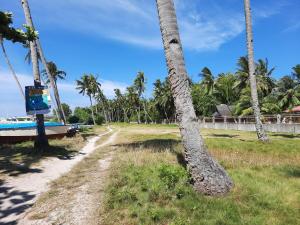 a dirt road next to palm trees on a beach at Stanley House Seaview Apartments in Panglao Island +2 photos