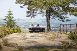 two people sitting on a bench under a tree at Weinschlafwagen Bautzen in Bautzen +5 photos