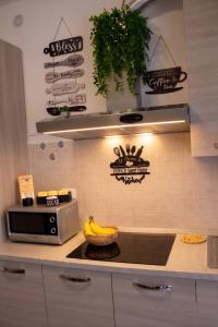 a kitchen with a microwave and a bowl of bananas on a counter at VENICE Sweet Home - your home in a beautiful neighborhood of the City of Venice in Favaro Veneto +51 photos
