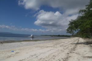 a sandy beach with a boat in the water at Stanley House Seaview Apartments in Panglao Island