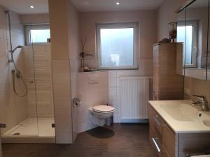 a bathroom with a toilet and a shower and a sink at Appartment Schlossblick in Wiesenthau