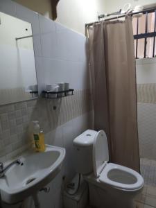 a bathroom with a toilet and a sink and a mirror at Zariah Homes 2BR in Kakamega +19 photos