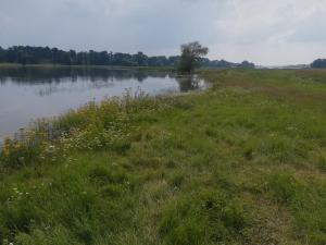 a field of grass next to a body of water at Alte Schule Nausdorf in Lenzen +5 photos