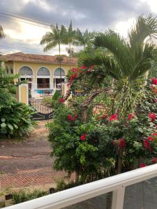 a view from the balcony of a resort with flowers at Covil das Trilhas Coliving SÓ PARA MULHERES in Lençóis