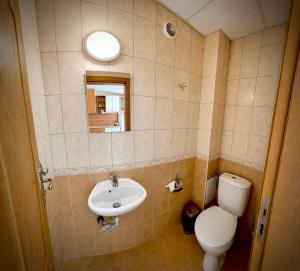 a bathroom with a sink and a toilet and a mirror at Panoramic Cozy Apartment in Beli Iskar