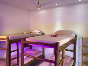 two bunk beds in a room with purple lighting at Covil das Trilhas Coliving SÓ PARA MULHERES in Lençóis +39 photos
