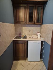 a small kitchen with wooden cabinets and a sink at Endurance in Krośnica +20 photos