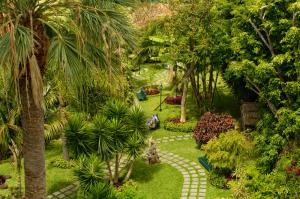 un jardin avec des palmiers et une passerelle dans l'établissement Hotel Girassol - Suite Hotel, à Funchal