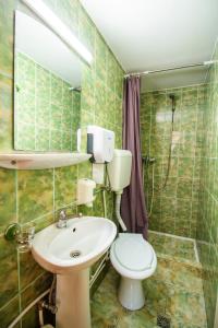 a bathroom with a toilet and a sink at Pensiunea HEIDI in Vartop +44 photos