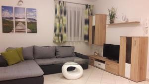 ein Wohnzimmer mit einem Sofa und einem TV in der Unterkunft Chalet Sunnseitn in Radstadt