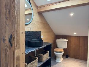 a bathroom with a toilet and a sink at L'ANTRE Deux LACS avec parking et garage in Xonrupt-Longemer +15 photos