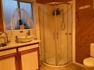 a bathroom with a shower and a sink at Winganah Cottage in Murdunna