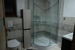 a bathroom with a shower and a toilet at Chatka pod Stinskou in Zboj