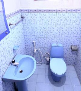 a bathroom with a blue toilet and a sink at Hasthi Resort in Polonnaruwa