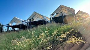 a group of three houses sitting on top of a hill at เขาเจ้าขา-เต็นท์กระโจมเขาค้อ in Khao Kho +15 photos