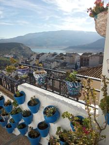 a bunch of potted plants sitting on a balcony at Torre Santo Dios in Iznájar