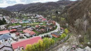 an aerial view of a village in the mountains at CĂSUȚA BUNICII CU PRISPĂ in Dospineşti