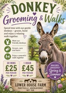 a magazine advertisement for donkey grooming and walks at The Old Stable in Abergavenny