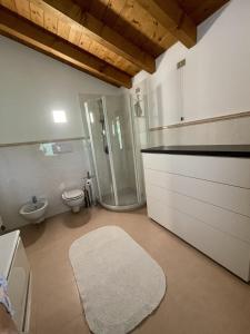 a bathroom with a shower and a toilet and a sink at Casa Elisabeth in Sarnico +34 photos