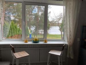 a window with two chairs and a bowl of fruit on a window sill at Našio Kempingo Apartamentai in Antanaše +7 photos