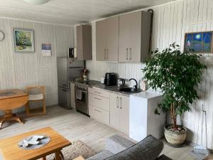 a kitchen with white cabinets and a table with a plant at Našio Kempingo Apartamentai in Antanaše