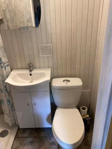 a small bathroom with a toilet and a sink at Našio Kempingo Apartamentai in Antanaše