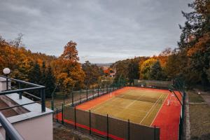 a tennis court in the middle of a forest at Penzion U Libuše Luleč in Lultsch