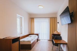 a hotel room with a bed and a desk and a television at Penzion U Libuše Luleč in Lultsch