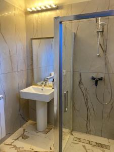 a bathroom with a sink and a shower at Pensiunea Imperial in Târgu-Mureş +62 photos