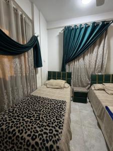 two beds in a room with blue curtains at Center Apartment in Aswan