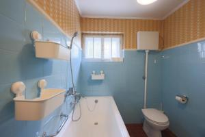 a blue bathroom with a sink and a toilet at Cosy Vintage House Bled in Bled +28 photos